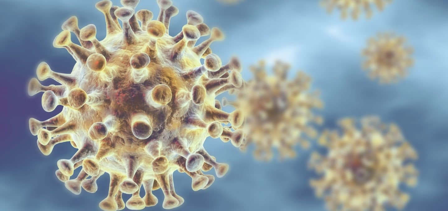 Buse Heberer Fromm Info zu Coronavirus: Was Unternehmen wissen müssen