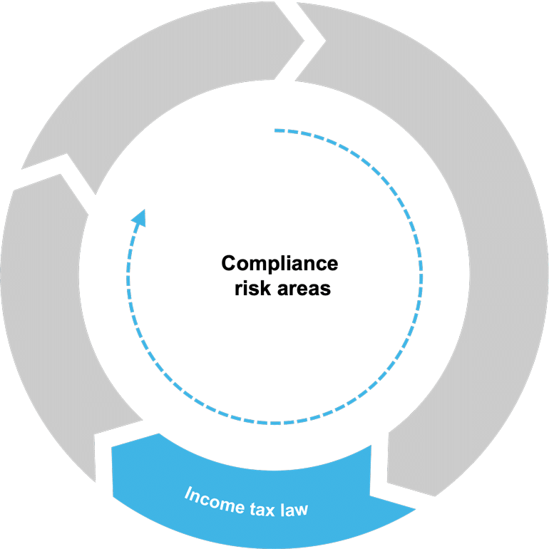 Risk area: income tax law